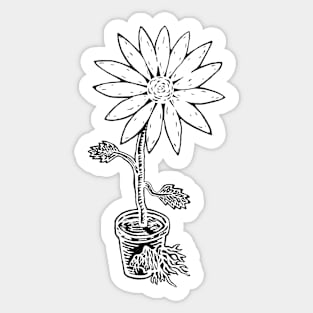 revolution flower Sticker